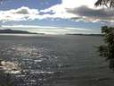 ./images/koeye/fitz-hugh/20210613/fitz-hugh20210613_160001.jpg