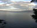 ./images/koeye/fitz-hugh/20210614/fitz-hugh20210614_060001.jpg