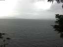 ./images/koeye/fitz-hugh/20210614/fitz-hugh20210614_160002.jpg