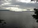 ./images/koeye/fitz-hugh/20210614/fitz-hugh20210614_180001.jpg