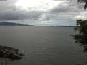 ./images/koeye/fitz-hugh/20210615/fitz-hugh20210615_140001.jpg