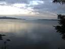 ./images/koeye/fitz-hugh/20210617/fitz-hugh20210617_060001.jpg