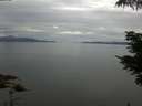 ./images/koeye/fitz-hugh/20210617/fitz-hugh20210617_080002.jpg