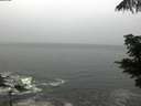 ./images/koeye/fitz-hugh/20210619/fitz-hugh20210619_080002.jpg
