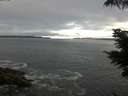./images/koeye/fitz-hugh/20210620/fitz-hugh20210620_060001.jpg
