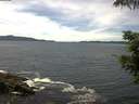 ./images/koeye/fitz-hugh/20210620/fitz-hugh20210620_140002.jpg