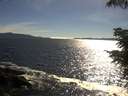 ./images/koeye/fitz-hugh/20210620/fitz-hugh20210620_180001.jpg