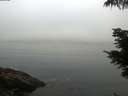 ./images/koeye/fitz-hugh/20210621/fitz-hugh20210621_060002.jpg
