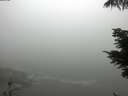 ./images/koeye/fitz-hugh/20210621/fitz-hugh20210621_080002.jpg