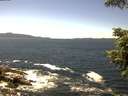 ./images/koeye/fitz-hugh/20210621/fitz-hugh20210621_140002.jpg