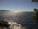./images/koeye/fitz-hugh/20210621/fitz-hugh20210621_160001.jpg