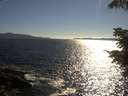 ./images/koeye/fitz-hugh/20210621/fitz-hugh20210621_180002.jpg