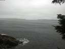 ./images/koeye/fitz-hugh/20210622/fitz-hugh20210622_080002.jpg