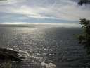 ./images/koeye/fitz-hugh/20210622/fitz-hugh20210622_160002.jpg