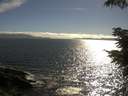 ./images/koeye/fitz-hugh/20210622/fitz-hugh20210622_180001.jpg