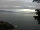 ./images/koeye/fitz-hugh/20210623/fitz-hugh20210623_060002.jpg