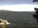 ./images/koeye/fitz-hugh/20210623/fitz-hugh20210623_120001.jpg