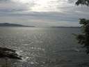 ./images/koeye/fitz-hugh/20210623/fitz-hugh20210623_160002.jpg