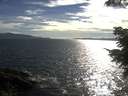 ./images/koeye/fitz-hugh/20210623/fitz-hugh20210623_180001.jpg