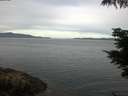 ./images/koeye/fitz-hugh/20210624/fitz-hugh20210624_080001.jpg