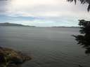./images/koeye/fitz-hugh/20210624/fitz-hugh20210624_100002.jpg