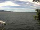 ./images/koeye/fitz-hugh/20210624/fitz-hugh20210624_140001.jpg