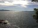 ./images/koeye/fitz-hugh/20210624/fitz-hugh20210624_160002.jpg