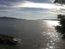 ./images/koeye/fitz-hugh/20210624/fitz-hugh20210624_180002.jpg
