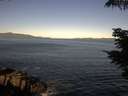 ./images/koeye/fitz-hugh/20210625/fitz-hugh20210625_080001.jpg
