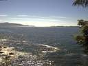 ./images/koeye/fitz-hugh/20210625/fitz-hugh20210625_160001.jpg