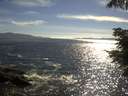 ./images/koeye/fitz-hugh/20210625/fitz-hugh20210625_180002.jpg