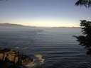 ./images/koeye/fitz-hugh/20210626/fitz-hugh20210626_080002.jpg