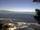 ./images/koeye/fitz-hugh/20210626/fitz-hugh20210626_100001.jpg