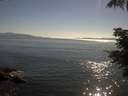 ./images/koeye/fitz-hugh/20210626/fitz-hugh20210626_180002.jpg