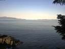 ./images/koeye/fitz-hugh/20210627/fitz-hugh20210627_080002.jpg