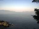 ./images/koeye/fitz-hugh/20210628/fitz-hugh20210628_080002.jpg