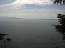 ./images/koeye/fitz-hugh/20210629/fitz-hugh20210629_160002.jpg