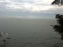 ./images/koeye/fitz-hugh/20210630/fitz-hugh20210630_060001.jpg