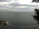 ./images/koeye/fitz-hugh/20210630/fitz-hugh20210630_080001.jpg