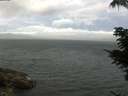 ./images/koeye/fitz-hugh/20210630/fitz-hugh20210630_100002.jpg
