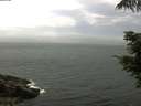 ./images/koeye/fitz-hugh/20210630/fitz-hugh20210630_140001.jpg