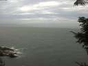 ./images/koeye/fitz-hugh/20210630/fitz-hugh20210630_160002.jpg