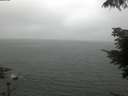 ./images/koeye/fitz-hugh/20210701/fitz-hugh20210701_060002.jpg