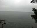 ./images/koeye/fitz-hugh/20210701/fitz-hugh20210701_080001.jpg