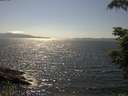 ./images/koeye/fitz-hugh/20210701/fitz-hugh20210701_160002.jpg