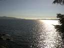 ./images/koeye/fitz-hugh/20210701/fitz-hugh20210701_180002.jpg