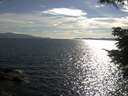 ./images/koeye/fitz-hugh/20210702/fitz-hugh20210702_180002.jpg