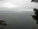 ./images/koeye/fitz-hugh/20210703/fitz-hugh20210703_080002.jpg
