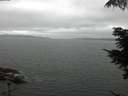 ./images/koeye/fitz-hugh/20210703/fitz-hugh20210703_100001.jpg