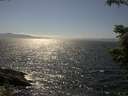 ./images/koeye/fitz-hugh/20210703/fitz-hugh20210703_160001.jpg